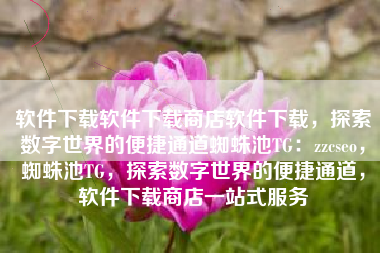 软件下载软件下载商店软件下载，探索数字世界的便捷通道蜘蛛池TG：zzcseo，蜘蛛池TG，探索数字世界的便捷通道，软件下载商店一站式服务