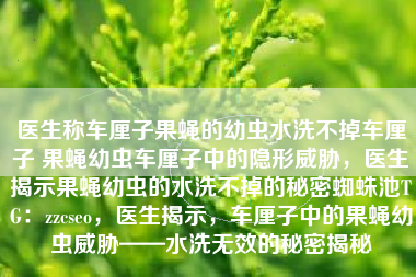 医生称车厘子果蝇的幼虫水洗不掉车厘子 果蝇幼虫车厘子中的隐形威胁，医生揭示果蝇幼虫的水洗不掉的秘密蜘蛛池TG：zzcseo，医生揭示，车厘子中的果蝇幼虫威胁——水洗无效的秘密揭秘