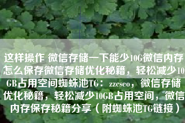 这样操作 微信存储一下能少10G微信内存怎么保存微信存储优化秘籍，轻松减少10GB占用空间蜘蛛池TG：zzcseo，微信存储优化秘籍，轻松减少10GB占用空间，微信内存保存秘籍分享（附蜘蛛池TG链接）