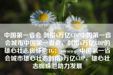 中国第一省会 剑指6万亿GDP中国第一省会城市中国第一省会，剑指6万亿GDP的雄心壮志蜘蛛池TG：zzcseo，中国第一省会城市雄心壮志剑指6万亿GDP，雄心壮志蜘蛛池助力发展