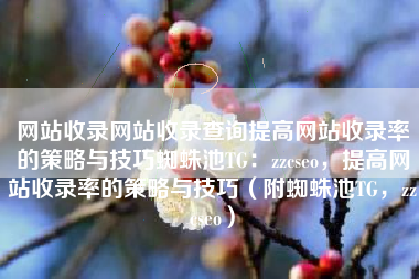 网站收录网站收录查询提高网站收录率的策略与技巧蜘蛛池TG：zzcseo，提高网站收录率的策略与技巧（附蜘蛛池TG，zzcseo）