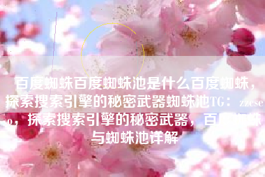 百度蜘蛛百度蜘蛛池是什么百度蜘蛛，探索搜索引擎的秘密武器蜘蛛池TG：zzcseo，探索搜索引擎的秘密武器，百度蜘蛛与蜘蛛池详解