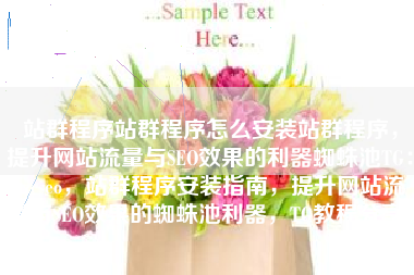 站群程序站群程序怎么安装站群程序，提升网站流量与SEO效果的利器蜘蛛池TG：zzcseo，站群程序安装指南，提升网站流量与SEO效果的蜘蛛池利器，TG教程分享。