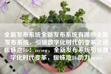 全新发布系统全新发布系统有哪些全新发布系统，引领数字化时代的变革之道蜘蛛池TG：zzcseo，全新发布系统引领数字化时代变革，蜘蛛池TG助力zzcseo