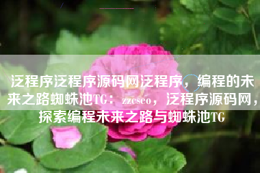 泛程序泛程序源码网泛程序，编程的未来之路蜘蛛池TG：zzcseo，泛程序源码网，探索编程未来之路与蜘蛛池TG