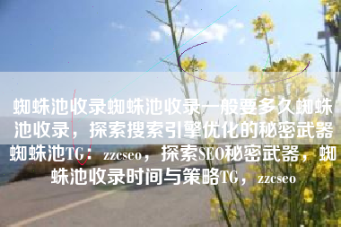 蜘蛛池收录蜘蛛池收录一般要多久蜘蛛池收录，探索搜索引擎优化的秘密武器蜘蛛池TG：zzcseo，探索SEO秘密武器，蜘蛛池收录时间与策略TG，zzcseo
