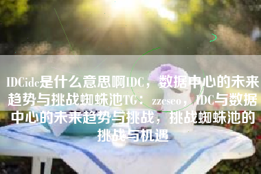 IDCidc是什么意思啊IDC，数据中心的未来趋势与挑战蜘蛛池TG：zzcseo，IDC与数据中心的未来趋势与挑战，挑战蜘蛛池的挑战与机遇