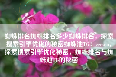 蜘蛛排名蜘蛛排名多少蜘蛛排名，探索搜索引擎优化的秘密蜘蛛池TG：zzcseo，探索搜索引擎优化秘密，蜘蛛排名与蜘蛛池TG的秘密