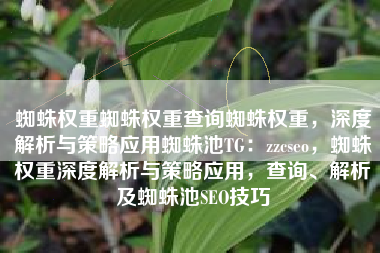 蜘蛛权重蜘蛛权重查询蜘蛛权重，深度解析与策略应用蜘蛛池TG：zzcseo，蜘蛛权重深度解析与策略应用，查询、解析及蜘蛛池SEO技巧