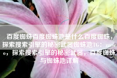 百度蜘蛛百度蜘蛛池是什么百度蜘蛛，探索搜索引擎的秘密武器蜘蛛池TG：zzcseo，探索搜索引擎的秘密武器，百度蜘蛛与蜘蛛池详解