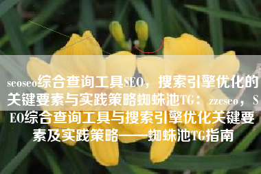 seoseo综合查询工具SEO，搜索引擎优化的关键要素与实践策略蜘蛛池TG：zzcseo，SEO综合查询工具与搜索引擎优化关键要素及实践策略——蜘蛛池TG指南