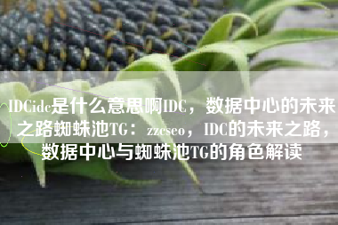 IDCidc是什么意思啊IDC，数据中心的未来之路蜘蛛池TG：zzcseo，IDC的未来之路，数据中心与蜘蛛池TG的角色解读