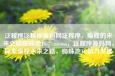 泛程序泛程序源码网泛程序，编程的未来之路蜘蛛池TG：zzcseo，泛程序源码网，探索编程未来之路，蜘蛛池TG助力发展