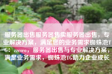 服务器出售服务器售卖服务器出售，专业解决方案，满足您的业务需求蜘蛛池TG：zzcseo，服务器出售与专业解决方案，满足业务需求，蜘蛛池TG助力企业成长