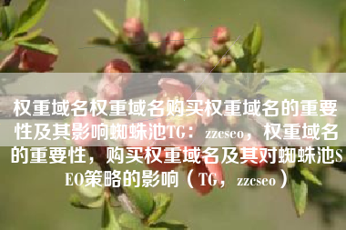 权重域名权重域名购买权重域名的重要性及其影响蜘蛛池TG：zzcseo，权重域名的重要性，购买权重域名及其对蜘蛛池SEO策略的影响（TG，zzcseo）