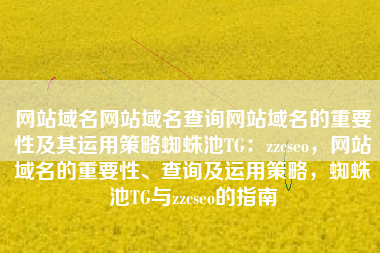 网站域名网站域名查询网站域名的重要性及其运用策略蜘蛛池TG：zzcseo，网站域名的重要性、查询及运用策略，蜘蛛池TG与zzcseo的指南