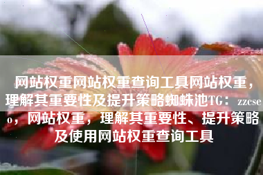 网站权重网站权重查询工具网站权重，理解其重要性及提升策略蜘蛛池TG：zzcseo，网站权重，理解其重要性、提升策略及使用网站权重查询工具