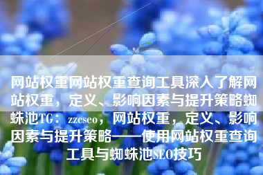 网站权重网站权重查询工具深入了解网站权重，定义、影响因素与提升策略蜘蛛池TG：zzcseo，网站权重，定义、影响因素与提升策略——使用网站权重查询工具与蜘蛛池SEO技巧