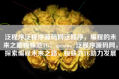 泛程序泛程序源码网泛程序，编程的未来之路蜘蛛池TG：zzcseo，泛程序源码网，探索编程未来之路，蜘蛛池TG助力发展