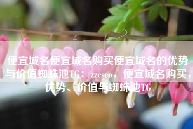 便宜域名便宜域名购买便宜域名的优势与价值蜘蛛池TG：zzcseo，便宜域名购买，优势、价值与蜘蛛池TG