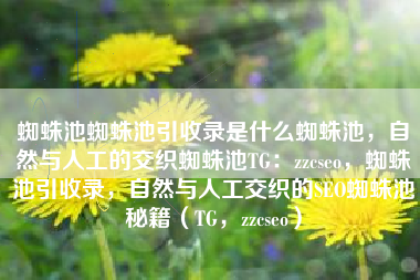 蜘蛛池蜘蛛池引收录是什么蜘蛛池，自然与人工的交织蜘蛛池TG：zzcseo，蜘蛛池引收录，自然与人工交织的SEO蜘蛛池秘籍（TG，zzcseo）