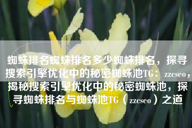 蜘蛛排名蜘蛛排名多少蜘蛛排名，探寻搜索引擎优化中的秘密蜘蛛池TG：zzcseo，揭秘搜索引擎优化中的秘密蜘蛛池，探寻蜘蛛排名与蜘蛛池TG（zzcseo）之道