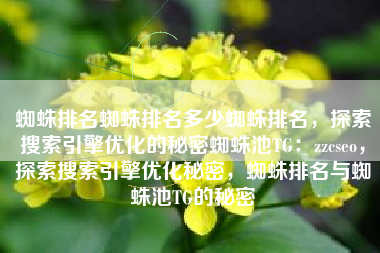 蜘蛛排名蜘蛛排名多少蜘蛛排名，探索搜索引擎优化的秘密蜘蛛池TG：zzcseo，探索搜索引擎优化秘密，蜘蛛排名与蜘蛛池TG的秘密