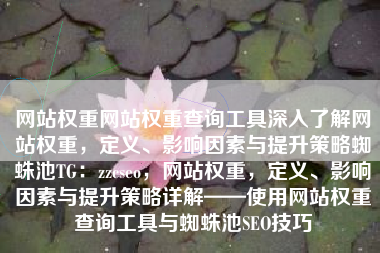 网站权重网站权重查询工具深入了解网站权重，定义、影响因素与提升策略蜘蛛池TG：zzcseo，网站权重，定义、影响因素与提升策略详解——使用网站权重查询工具与蜘蛛池SEO技巧