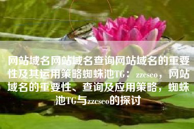 网站域名网站域名查询网站域名的重要性及其运用策略蜘蛛池TG：zzcseo，网站域名的重要性、查询及应用策略，蜘蛛池TG与zzcseo的探讨
