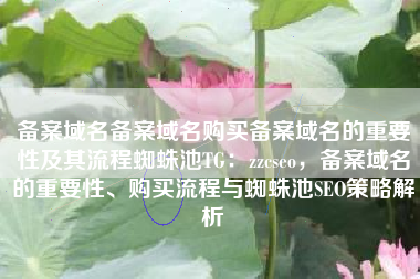 备案域名备案域名购买备案域名的重要性及其流程蜘蛛池TG：zzcseo，备案域名的重要性、购买流程与蜘蛛池SEO策略解析
