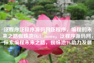 泛程序泛程序源码网泛程序，编程的未来之路蜘蛛池TG：zzcseo，泛程序源码网，探索编程未来之路，蜘蛛池TG助力发展
