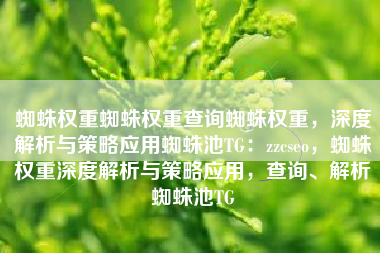 蜘蛛权重蜘蛛权重查询蜘蛛权重，深度解析与策略应用蜘蛛池TG：zzcseo，蜘蛛权重深度解析与策略应用，查询、解析蜘蛛池TG