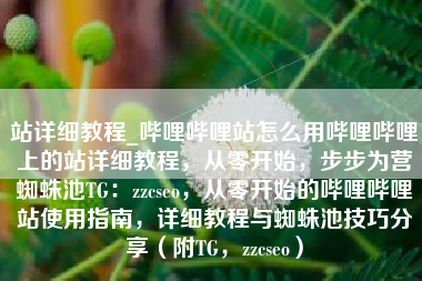 站详细教程_哔哩哔哩站怎么用哔哩哔哩上的站详细教程，从零开始，步步为营蜘蛛池TG：zzcseo，从零开始的哔哩哔哩站使用指南，详细教程与蜘蛛池技巧分享（附TG，zzcseo）