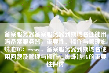 备案服务器备案服务器到期域名还能用吗备案服务器，重要性、操作与管理蜘蛛池TG：zzcseo，备案服务器到期域名使用问题及管理与操作，蜘蛛池TG的重要性探讨