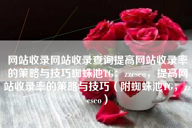 网站收录网站收录查询提高网站收录率的策略与技巧蜘蛛池TG：zzcseo，提高网站收录率的策略与技巧（附蜘蛛池TG，zzcseo）