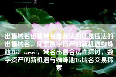 出售域名出售域名是合法的还是违法的出售域名，探索数字资产的新机遇蜘蛛池TG：zzcseo，域名出售合法性探讨，数字资产的新机遇与蜘蛛池TG域名交易探索