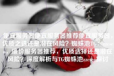 便宜服务器便宜服务器推荐便宜服务器，优质之选还是潜在风险？蜘蛛池TG：zzcseo，廉价服务器推荐，优质选择还是潜在风险？深度解析与TG蜘蛛池zzcseo探讨