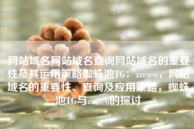 网站域名网站域名查询网站域名的重要性及其运用策略蜘蛛池TG：zzcseo，网站域名的重要性、查询及应用策略，蜘蛛池TG与zzcseo的探讨