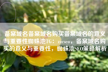 备案域名备案域名购买备案域名的意义与重要性蜘蛛池TG：zzcseo，备案域名购买的意义与重要性，蜘蛛池SEO策略解析