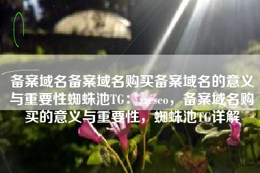 备案域名备案域名购买备案域名的意义与重要性蜘蛛池TG：zzcseo，备案域名购买的意义与重要性，蜘蛛池TG详解