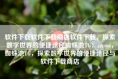 软件下载软件下载商店软件下载，探索数字世界的便捷途径蜘蛛池TG：zzcseo，蜘蛛池TG，探索数字世界的便捷途径与软件下载商店