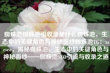 蜘蛛池蜘蛛池引收录是什么蜘蛛池，生态中的关键角色与神秘面纱蜘蛛池TG：zzcseo，揭秘蜘蛛池，生态中的关键角色与神秘面纱——蜘蛛池SEO引流与收录之道
