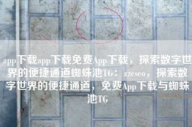 app下载app下载免费App下载，探索数字世界的便捷通道蜘蛛池TG：zzcseo，探索数字世界的便捷通道，免费App下载与蜘蛛池TG