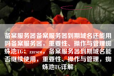 备案服务器备案服务器到期域名还能用吗备案服务器，重要性、操作与管理蜘蛛池TG：zzcseo，备案服务器到期域名能否继续使用，重要性、操作与管理，蜘蛛池TG详解