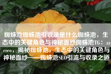 蜘蛛池蜘蛛池引收录是什么蜘蛛池，生态中的关键角色与神秘面纱蜘蛛池TG：zzcseo，揭秘蜘蛛池，生态中的关键角色与神秘面纱——蜘蛛池SEO引流与收录之道