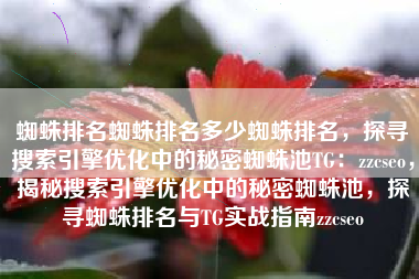 蜘蛛排名蜘蛛排名多少蜘蛛排名，探寻搜索引擎优化中的秘密蜘蛛池TG：zzcseo，揭秘搜索引擎优化中的秘密蜘蛛池，探寻蜘蛛排名与TG实战指南zzcseo