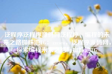 泛程序泛程序源码网泛程序，编程的未来之路蜘蛛池TG：zzcseo，泛程序源码网，探索编程未来之路与蜘蛛池TG