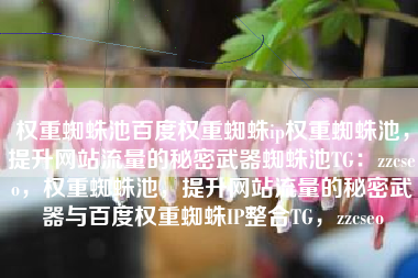 权重蜘蛛池百度权重蜘蛛ip权重蜘蛛池，提升网站流量的秘密武器蜘蛛池TG：zzcseo，权重蜘蛛池，提升网站流量的秘密武器与百度权重蜘蛛IP整合TG，zzcseo