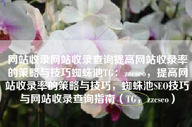 网站收录网站收录查询提高网站收录率的策略与技巧蜘蛛池TG：zzcseo，提高网站收录率的策略与技巧，蜘蛛池SEO技巧与网站收录查询指南（TG，zzcseo）