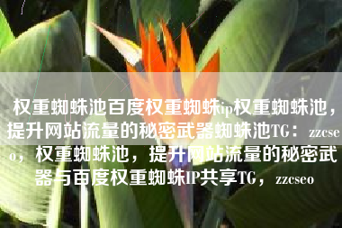 权重蜘蛛池百度权重蜘蛛ip权重蜘蛛池，提升网站流量的秘密武器蜘蛛池TG：zzcseo，权重蜘蛛池，提升网站流量的秘密武器与百度权重蜘蛛IP共享TG，zzcseo